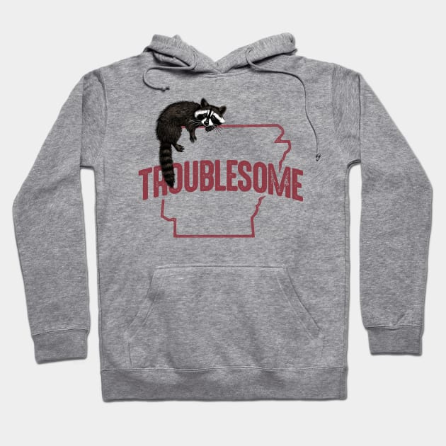 Troublesome (Arkansas) Hoodie by rt-shirts